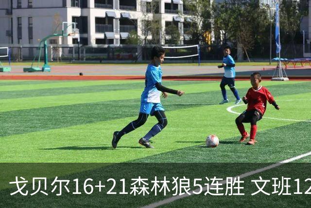 戈贝尔16+21森林狼5连胜 文班12+10马刺15连败